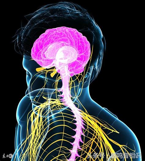 腦嗚的原因|腦鳴是怎麼回事、腦鳴的最新治療方法